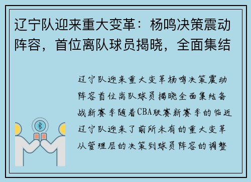 辽宁队迎来重大变革：杨鸣决策震动阵容，首位离队球员揭晓，全面集结备战新赛季
